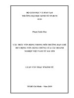 Cấu trúc vốn động trong môi trường hạn chế huy động vốn  bằng chứng của các doanh nghiệp việt nam từ sau IPO 