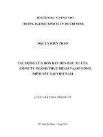 Tác động của đòn bẩy đến đầu tư của công ty ngành thực phẩm và đồ uống niêm yết tại việt nam 