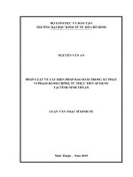 Pháp luật về các biện pháp bảo đảm trong xử phạt vi phạm hành chính, từ thực tiễn áp dụng tại tỉnh ninh thuận 