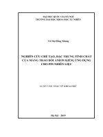 Nghiên cứu chế tạo, đặc trưng tính chất của màng trao đổi anion kiềm, ứng dụng cho pin nhiên liệu 
