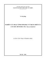 Nghiên cứu hoạt tính sinh học từ dịch chiết của cây râu hùm hoa tía  tacca chantrieri 