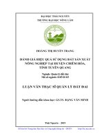 Đánh giá hiệu quả sử dụng đất sản xuất nông nghiệp tại huyện Chiêm Hóa, tỉnh Tuyên Quang (Luận văn thạc sĩ)