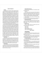 Phân tích rủi ro tài chính tại các doanh nghiệp viễn thông niêm yết trên thị trường chứng khoán việt nam tt tiếng anh 