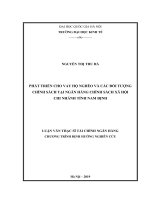 Phát triển cho vay hộ nghèo và các đối tượng chính sách tại ngân hàng chính sách xã hội chi nhánh tỉnh nam định 