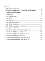 Bài tập lớn môn kế toán tài chính I: Lập báo cáo tài chính và phân tích chỉ số tài chính