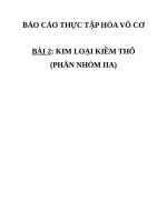 BC HÓA VÔ CƠ KIM LOẠI KIỀM THỔ