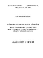 Phát triển kinh doanh dịch vụ viễn thông ở việt nam trong bối cảnh hội nhập quốc tế nghiên cứu trường hợp công ty cổ phần viễn thông hà nội