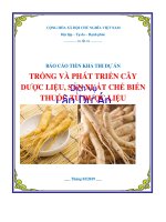 Tư vấn lập dự án Trồng và phát triển cây dược liệu sản xuất chế biến thuốc từ dược liệu PICC  www.lapduandautu.vn | 0903034381