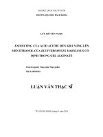 Ảnh hưởng của acid acetic đến khả năng lên men ethanol của kluyveromyces marxianus cố định trong gel alginate