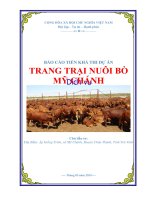 Tư vấn lập dự án Trang trại nuôi bò Mỹ Chánh tỉnh Trà Vinh  PICC  www.lapduandautu.vn | 0903034381
