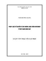 Pháp luật về quyền tự do ngôn luận trên internet ở việt nam hiện nay 