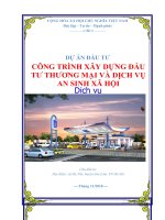Thuyết minh dự án Công trình xây dựng đầu tư thương mại và dịch vụ an sinh xã hội  PICC  www.lapduandautu.vn | 0903034381
