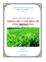 Thuyết minh dự án Trồng chè và chế biến chè công nghệ Ô long tỉnh Lạng Sơn   www.lapduandautu.vn | 0903034381