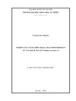 Nghiên cứu tách chiết hoạt chất protodioscin từ cây bạch tật lê 