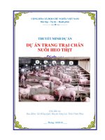 Tư vấn lập dự án Trang trại chăn nuôi heo thịt tỉnh Vĩnh Phúc PICC  www.lapduandautu.vn | 0903034381