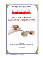 Tư vấn lập dự án Bất động sản Phương Anh  PICC  www.lapduandautu.vn | 0903034381