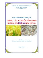 Tư vấn lập dự án Trồng lúa và nuôi tôm theo hướng Organic tỉnh Kiên Giang PICC  www.lapduandautu.vn | 0903034381