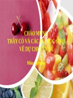 CĐ Ứng dụng sinh trưởng và phát triển vào sản xuất nông nghiệp