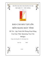 BTL mạng máy tính (BKHN): Lập Trình Mô Phỏng Hoạt Động Của Giao Thức Spanning Tree Cho Bridges