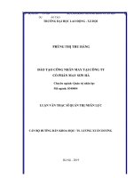 luận văn thạc sĩ đào tạo công nhân may tại công ty cổ phần may sơn hà 