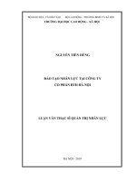 luận văn thạc sĩ đào tạo nhân lực tại công ty cổ phần BTH hà nội 