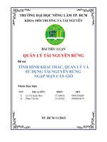 Tiểu luận quản lý tài nguyên rừng tình hình khai thác, quản lý và sử dụng tài nguyên rừng ngập mặn cần giờ