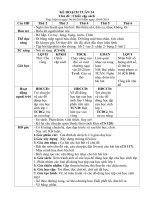 giáo án tuần chiếc cặp sách chương trình phù hợp bối cánh địa phương