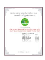 Tiểu luận ứng dụng công nghệ sinh thái trong xử lí chất thải hữu cơ nông nghiệp trồng trọt