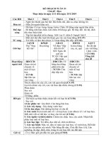 giáo án tuần HOA HỒNG chương trình phù hợp bối cảnh địa phương