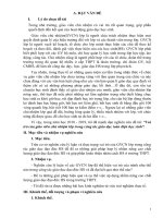 SKKN: “Vai trò của giáo viên chủ nhiệm lớp trong công tác giáo dục toàn diện học sinh”.