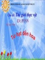 Giáo án điện tử Thơ từ hạt đến hoa