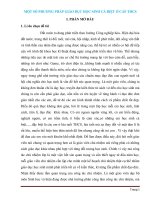 SKKN một số phương pháp giáo dục học sinh cá biệt lớp 7 