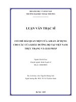 CƠ CHẾ HẢI QUAN MỘT CỬA ASEAN ÁP DỤNG CHO CÁC CỬA KHẨU ĐƯỜNG BỘ TẠI VIỆT NAM THỰC TRẠNG VÀ GIẢI PHÁP