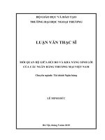 MỐI QUAN HỆ GIỮA RỦI RO VÀ KHẢ NĂNG SINH LỜI CỦA CÁC NGÂN HÀNG THƯƠNG MẠI VIỆT NAM