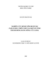 Nghiên cứu bệnh viêm ruột do Parvovirus trên chó tại một số tỉnh thành Đồng bằng sông Cửu Long