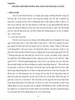 skkn PHƯƠNG PHÁP bồi DƯỠNG học SINH GIỎI môn địa lí lớp 8 