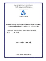 Nghiên cứu sự ảnh hưởng của hàm lượng xi măng và sợi xơ dừa đến sức chống cắt của đất yếu