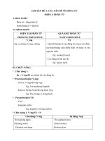 NGỮ PHÁP TIẾNG ANH 12: ĐỘNG TỪ CHỌN LỌC, HOT, FREE