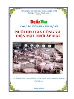 Thuyết minh dự án đầu tư nuôi heo gia công và điện mặt trời áp mái tại phú yên 