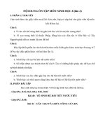 Bai tap sinh hoc 8 so 2 