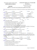 Đề thi thử môn hóa THPTQG lần 1 năm 2020 THPT lý thái tổ 