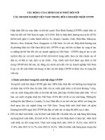 TÁC ĐỘNG CỦA CHÍNH SÁCH THUẾ ĐỐI VỚI  CÁC DOANH NGHIỆP VIỆT NAM TRONG BỐI CẢNH HỘI NHẬP CPTPP