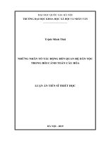 Những nhân tố tác động đến quan hệ dân tộc trong bối cảnh toàn cầu hóa 