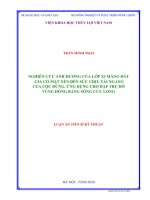 Nghiên cứu ảnh hưởng của lớp xi măng đất gia cố mặt nền đến sức chịu tải ngang của cọc đứng, ứng dụng cho đập trụ đỡ vùng đồng bằng sông cửu long 