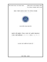 Các hiệu ứng vật lý mới trong các mô hình 3 2 3 1 và 3 3 3 1
