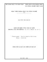 Các hiệu ứng vật lý mới trong các mô hình 3 2 3 1 và 3 3 3 1 tt