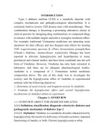 Nghiên cứu độc tính và tác dụng hạ glucose máu của viên andiabet trên thực nghiệm tt tiếng anh 