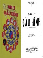 CAO LY DAU HINH DOAN VAN DAU 