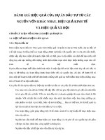Đánh giá hiệu quả của dự án đầu tư từ các nguồn vốn khác nhau, hiệu quả kinh tế và hiệu quả xã hội