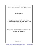 Vận dụng chính sách phát triển dịch vụ bảo hiểm phi nhân thọ tại công ty bảo hiểm bảo long phú thọ 